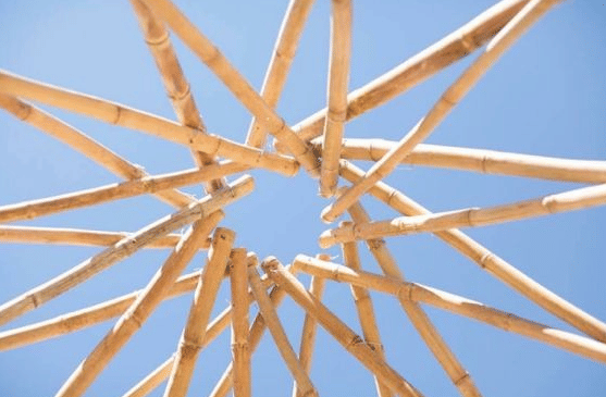 Varaha College of Architecture and Planning Visakhapatnam Campus photo 14