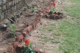 GGDSD College Palampur Workshops & Events photo 11