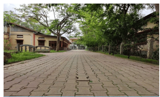 Rabindranath Tagore University Golaghat campus photo 2