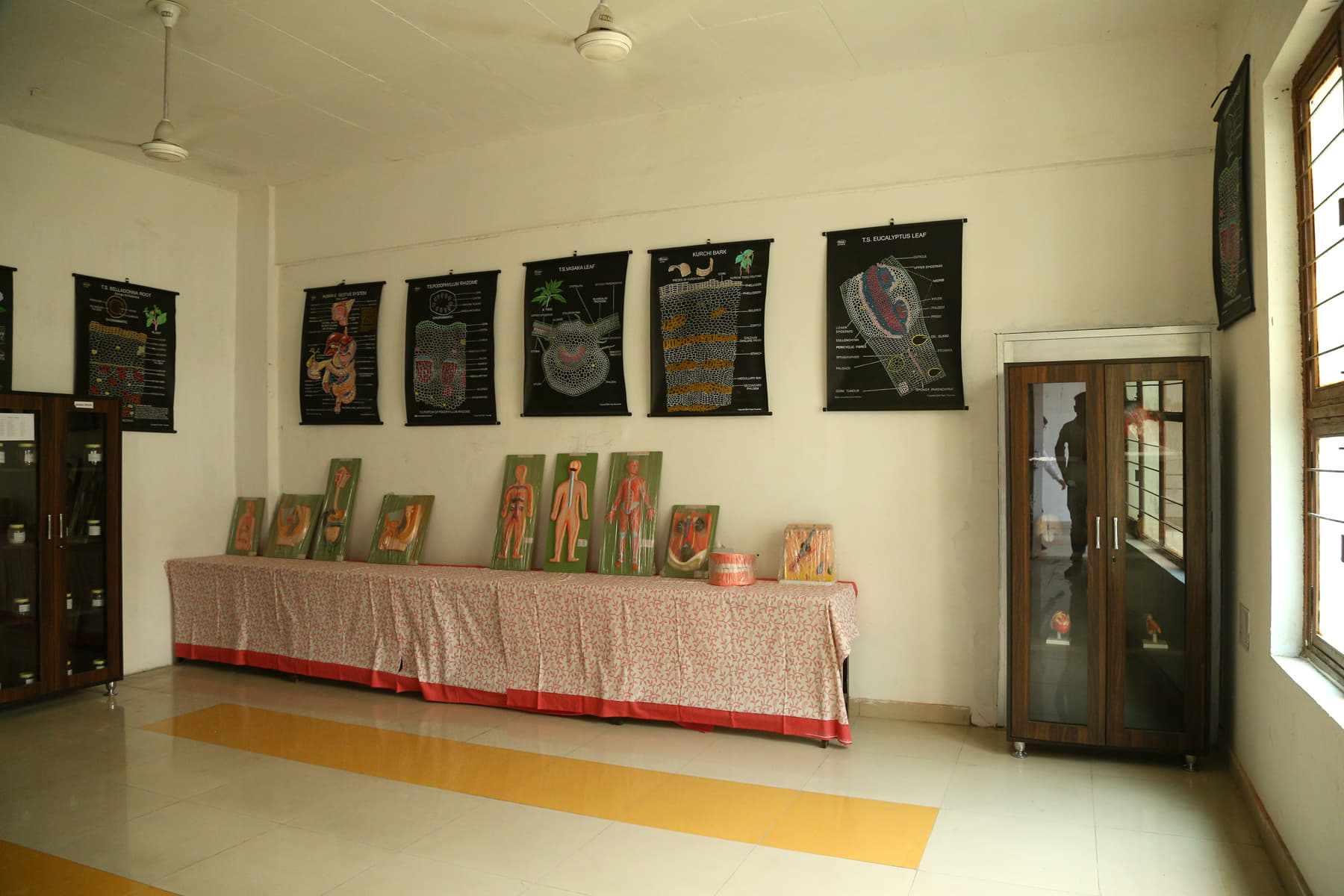 Global Research Institute of Pharmacy Yamuna Nagar Pharma Labs photo 10