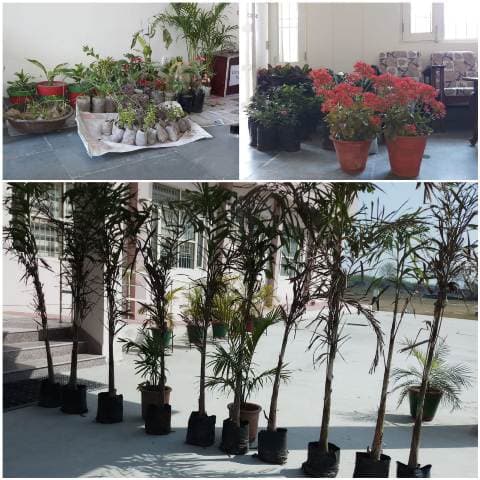 Govt. College for Women, Hisar Campus photo 6