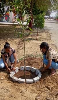 Govt. College for Women, Hisar Campus photo 18