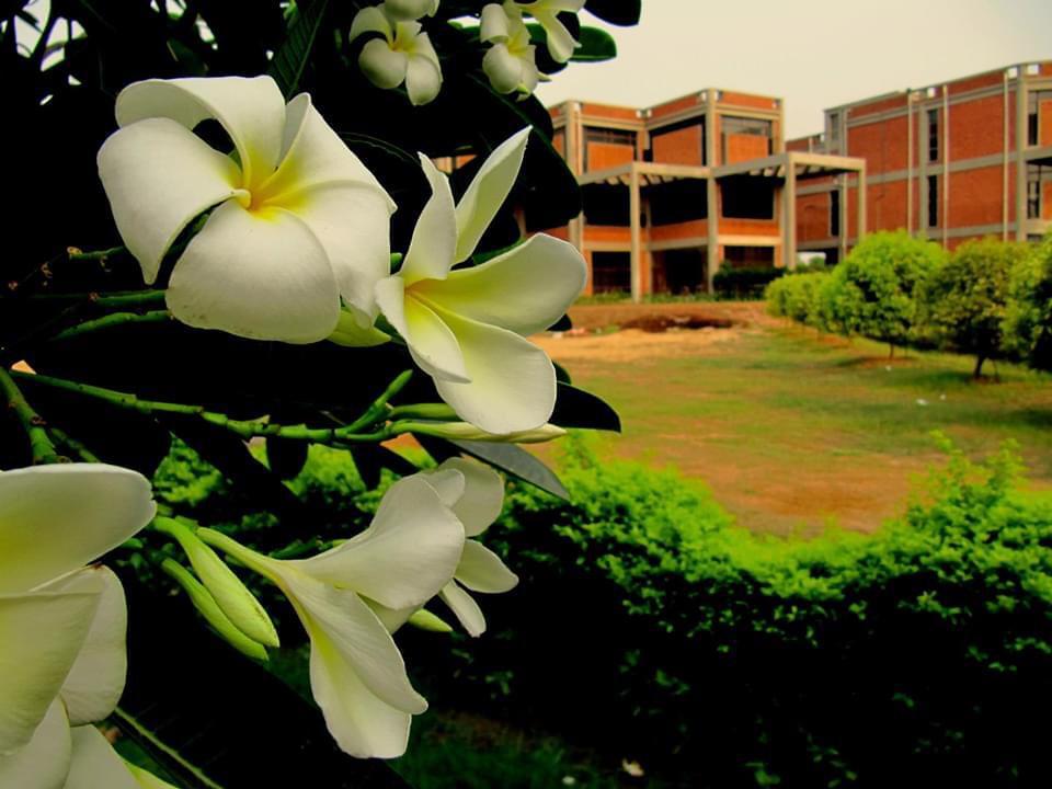 Piloo Mody College of Architecture Cuttack Campus Facilities photo 5