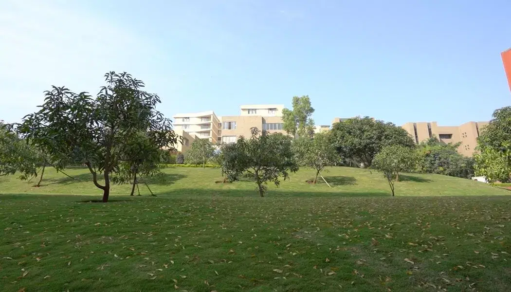 DY Patil University Pune Campus photo 7