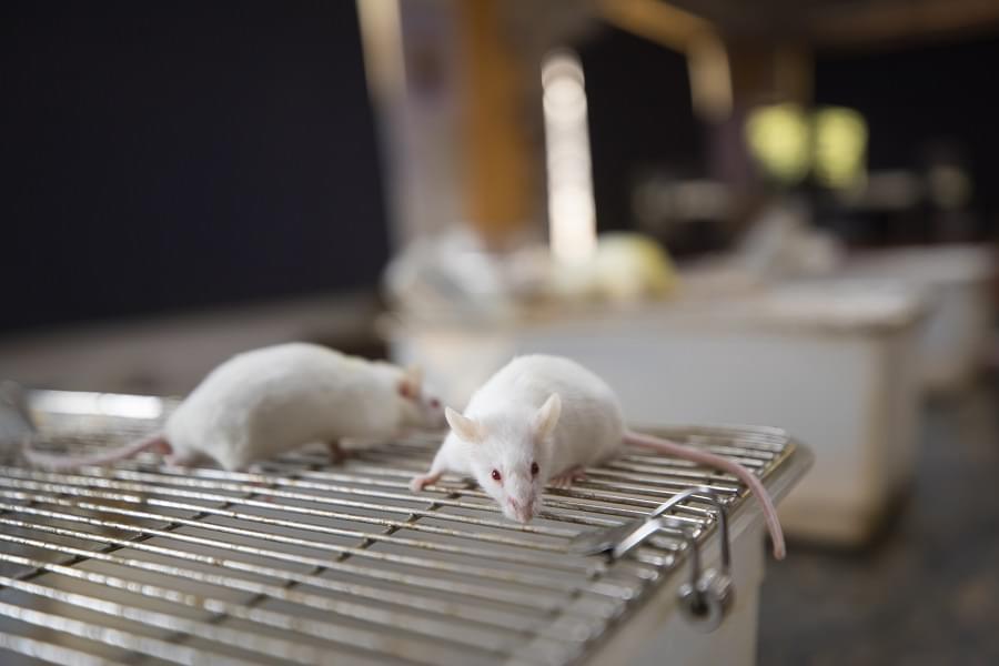 Hygia Institute of Pharmaceutical Education and Research Lucknow Laboratories photo 27