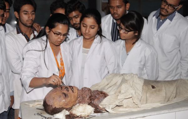 NIMS University Jaipur Campus photo 23