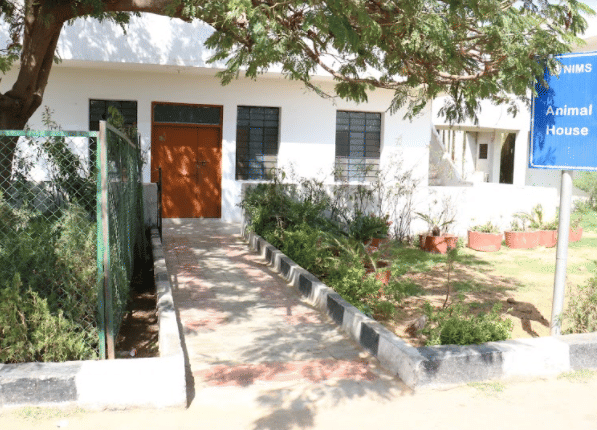 NIMS University Jaipur Campus photo 39