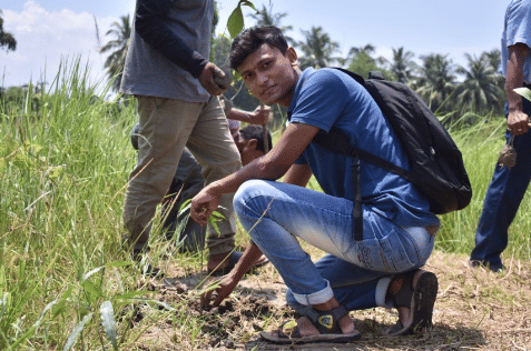 Calcutta Institute of Technology Howrah Tree Plantation photo 2