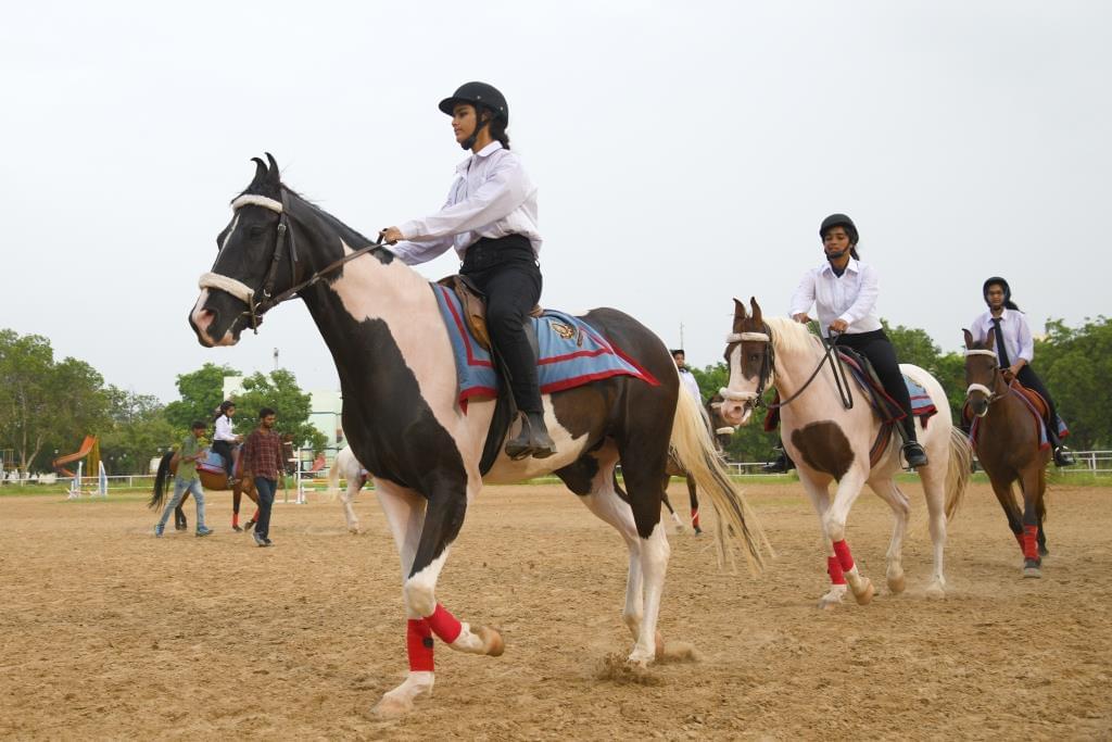 Mody University, School of Architecture & Town Planning Sikar Sports photo 4