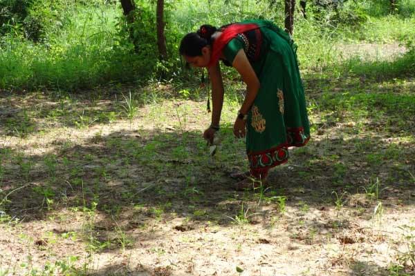 Merchant Science College Mehsana Events and extracurricular activities photo 13