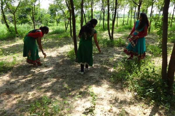 Merchant Science College Mehsana Events and extracurricular activities photo 14