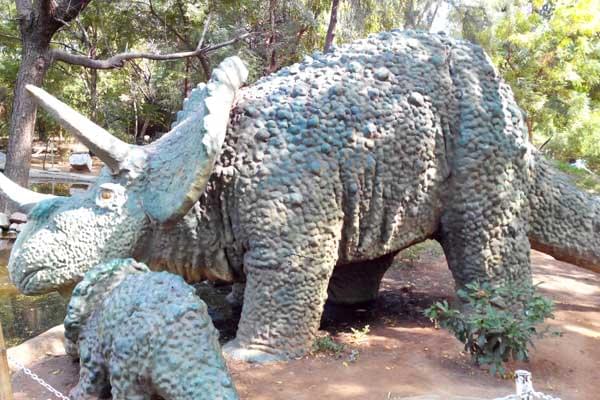 Merchant Science College Mehsana Events and extracurricular activities photo 3