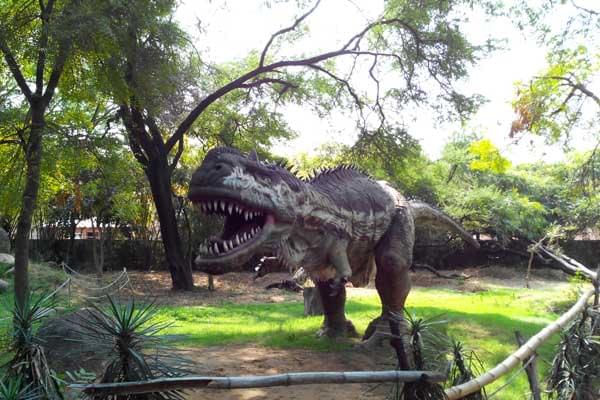 Merchant Science College Mehsana Events and extracurricular activities photo 2