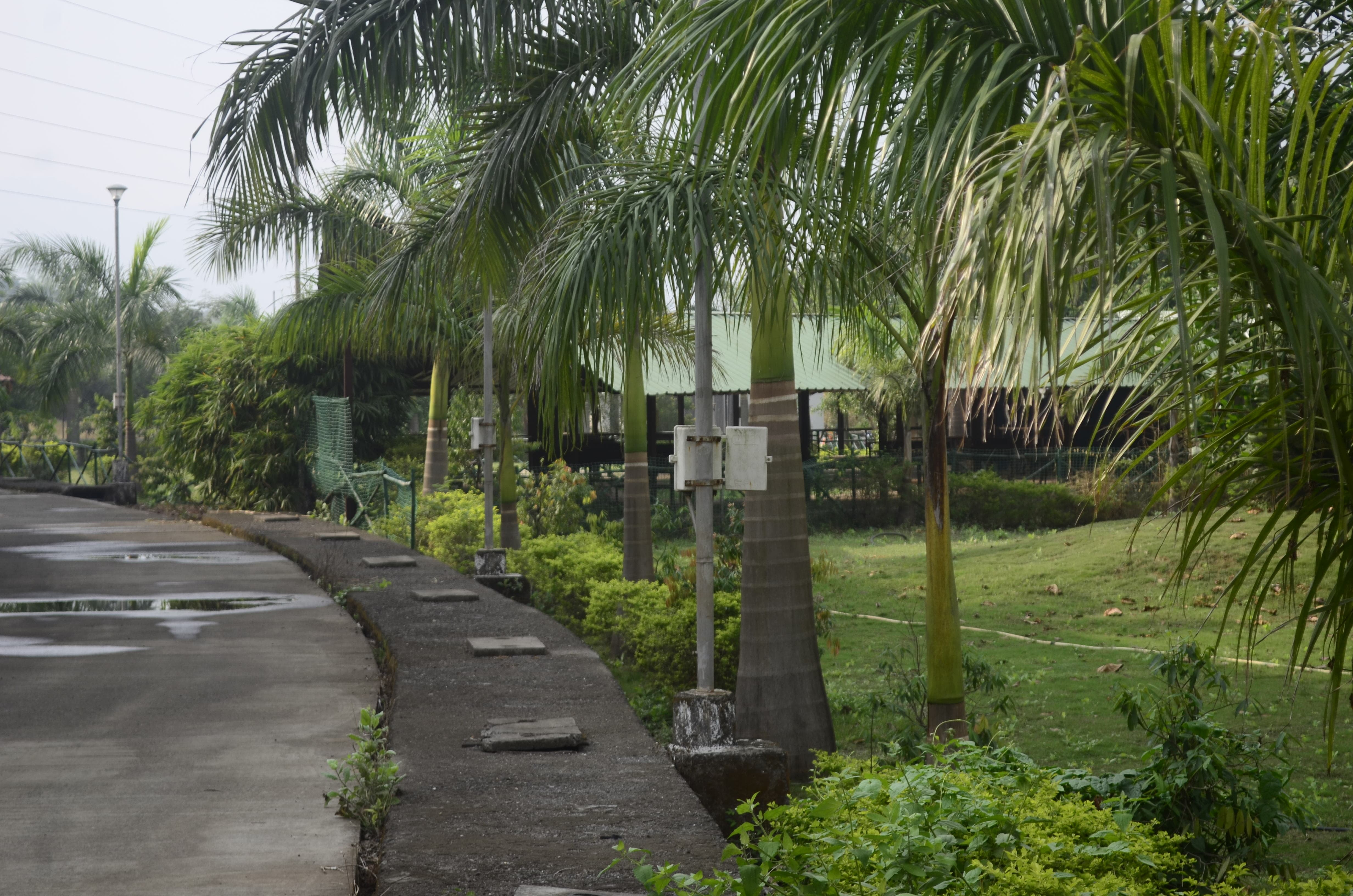 ViMEET Campus photo 8