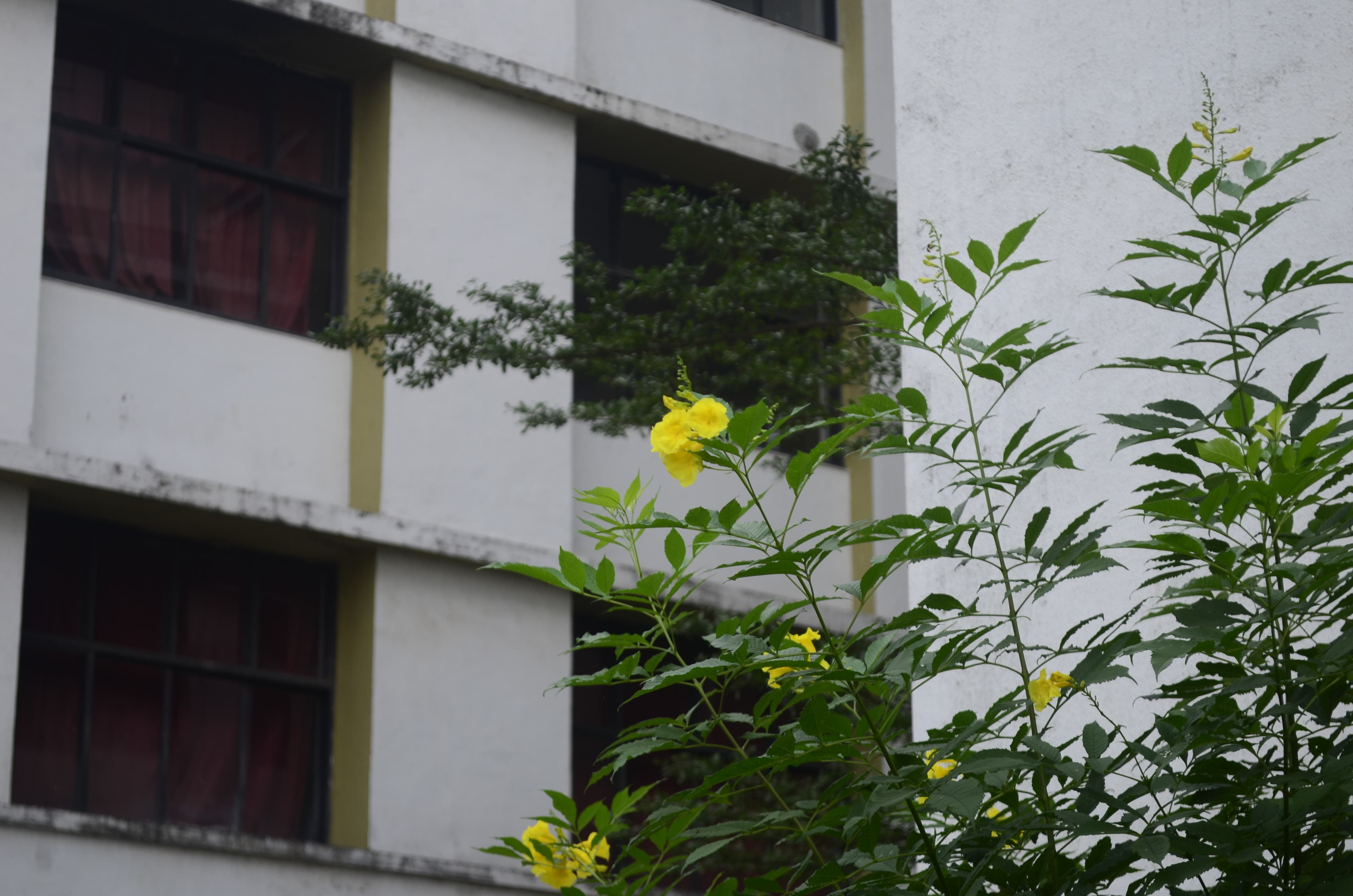 ViMEET Campus photo 10