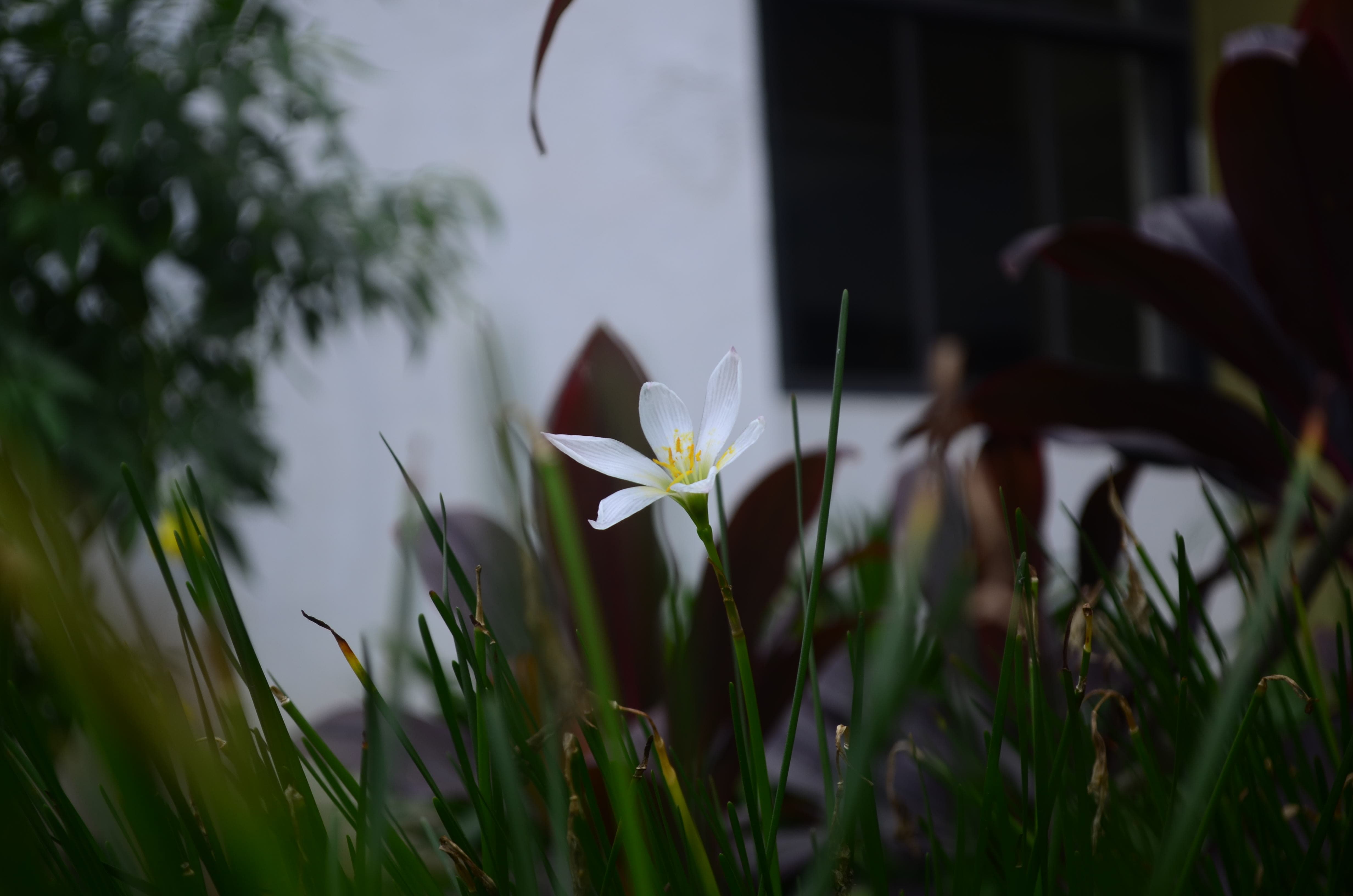 ViMEET Campus photo 11