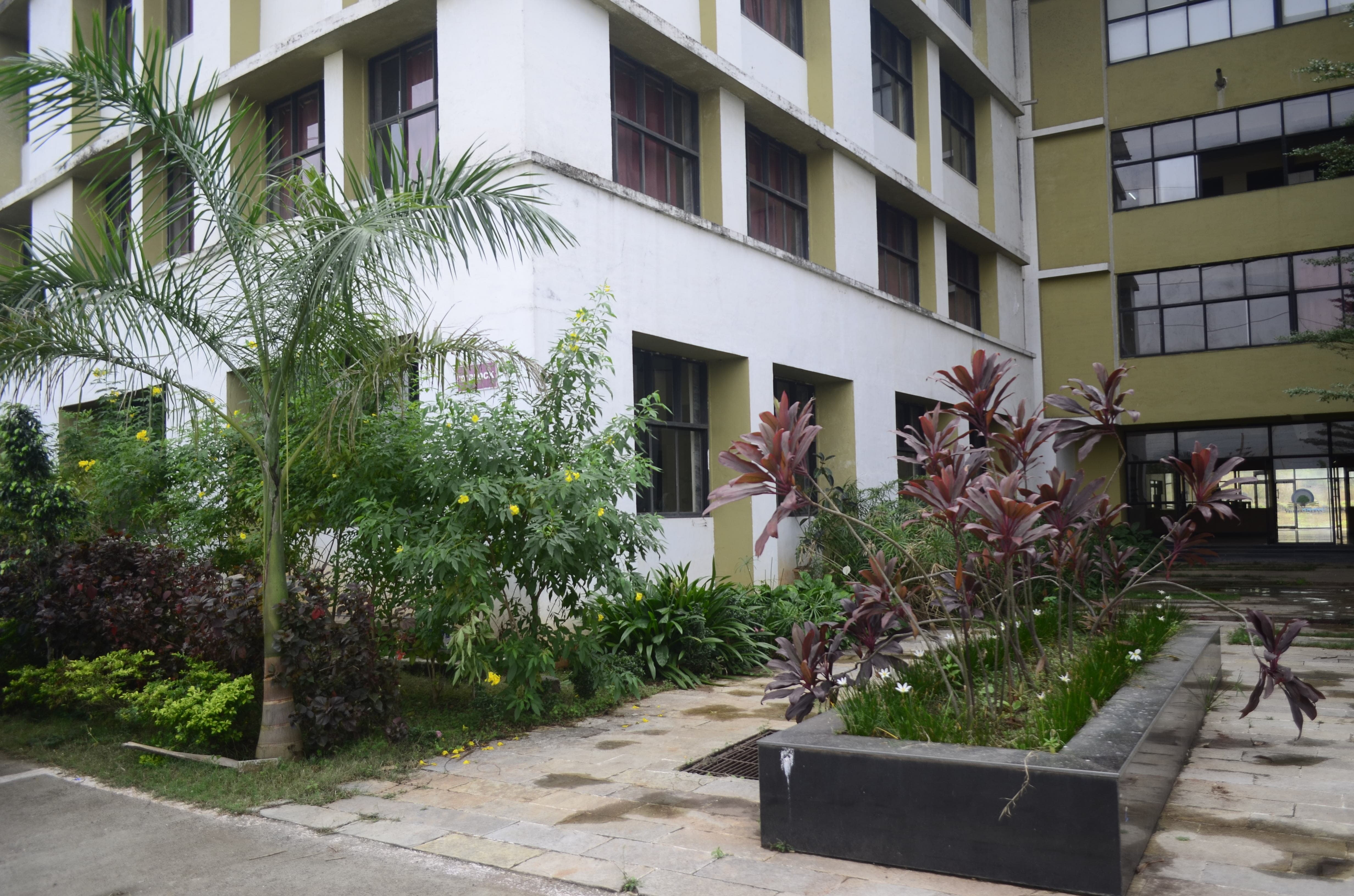 ViMEET Campus photo 13