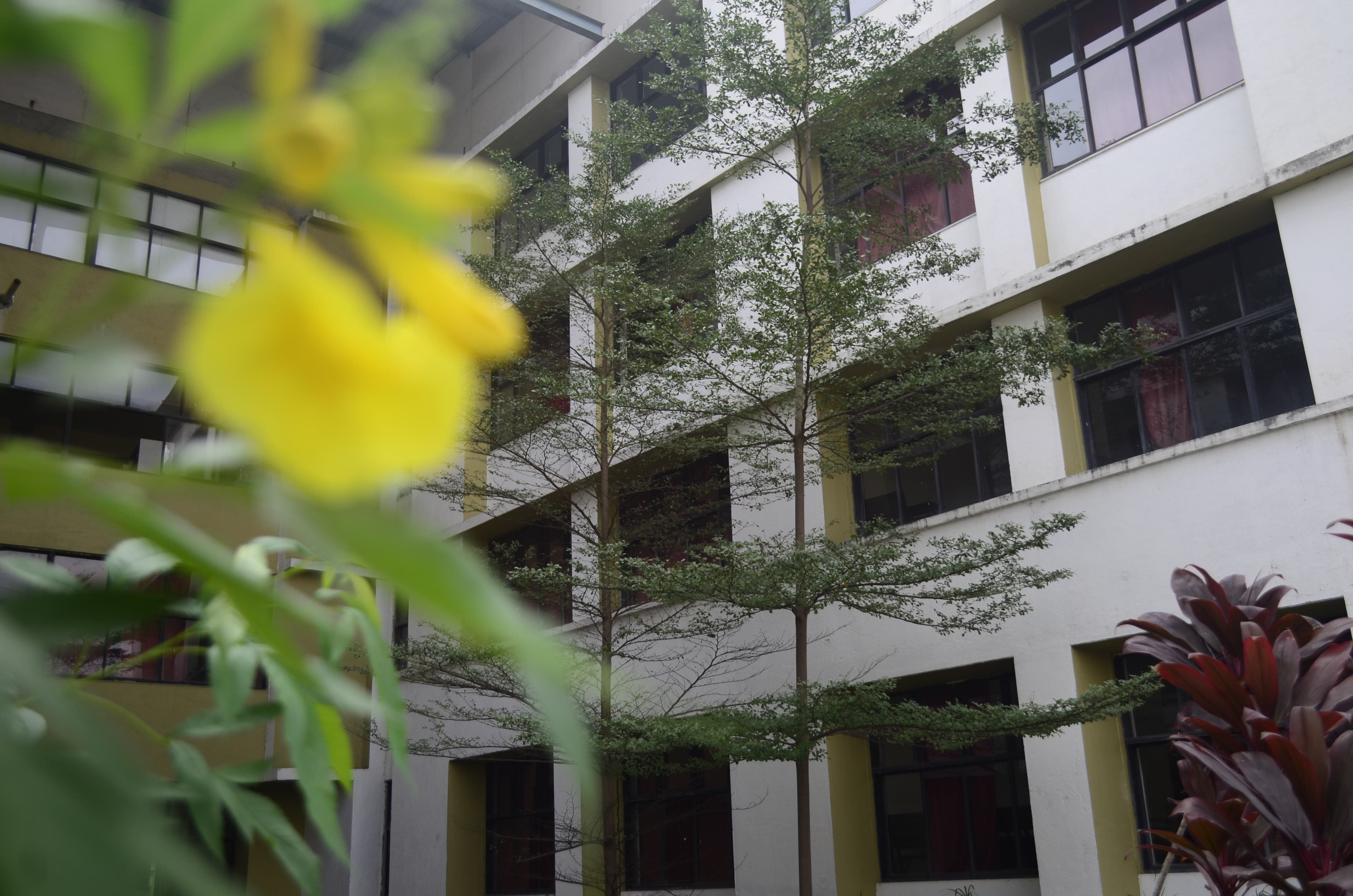 ViMEET Campus photo 14