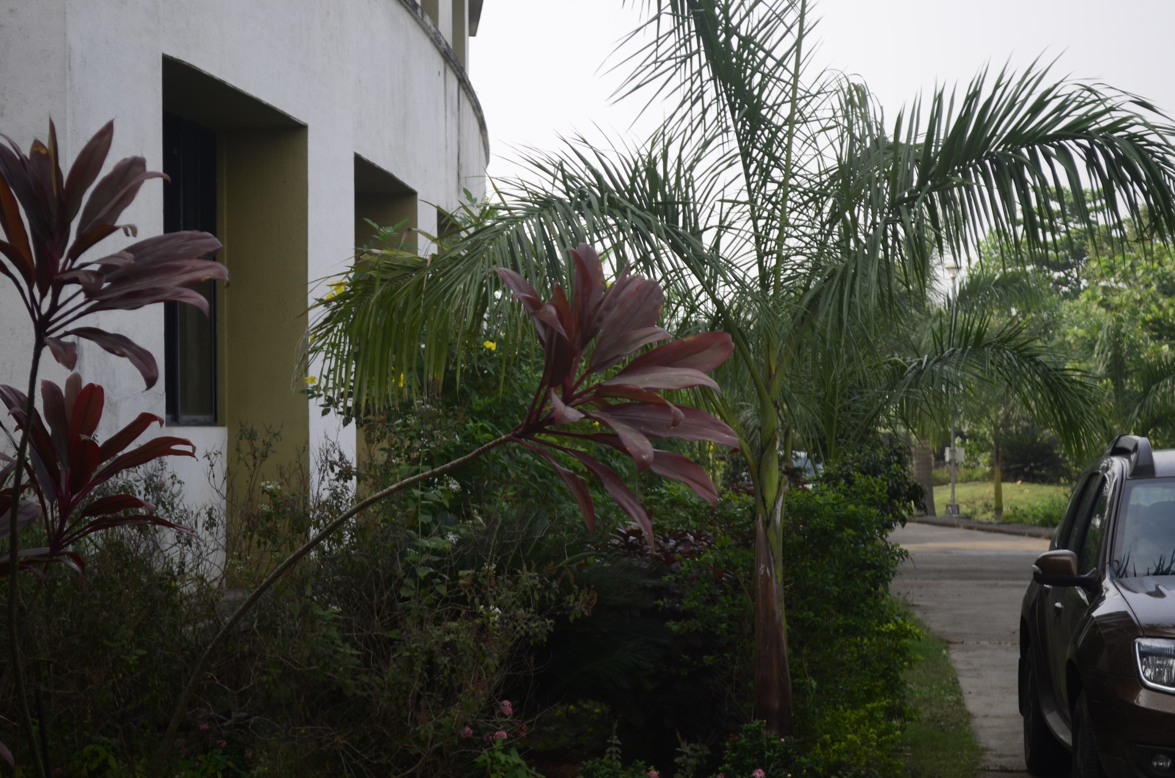 ViMEET Campus photo 16