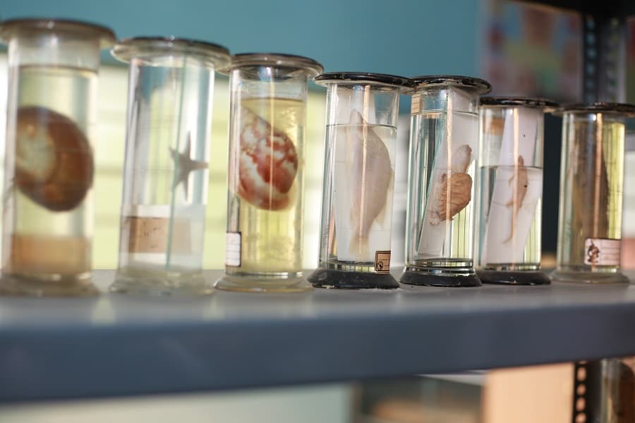 Kingston Educational Institute Kolkata KCS Labs photo 14