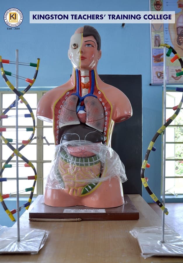 Kingston Educational Institute Kolkata Teacher's Training Lab photo 8
