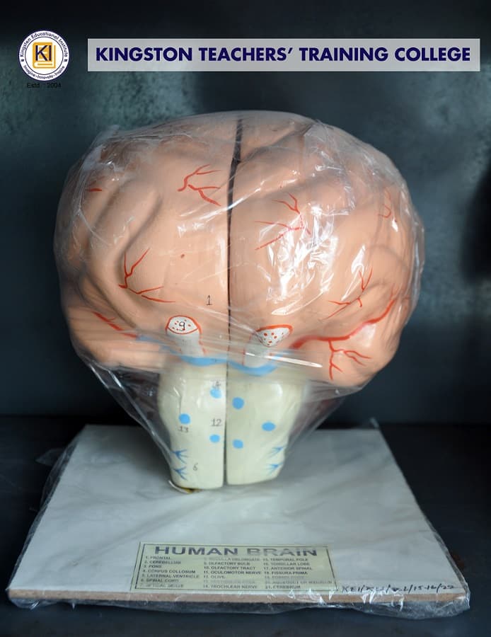 Kingston Educational Institute Kolkata Teacher's Training Lab photo 9