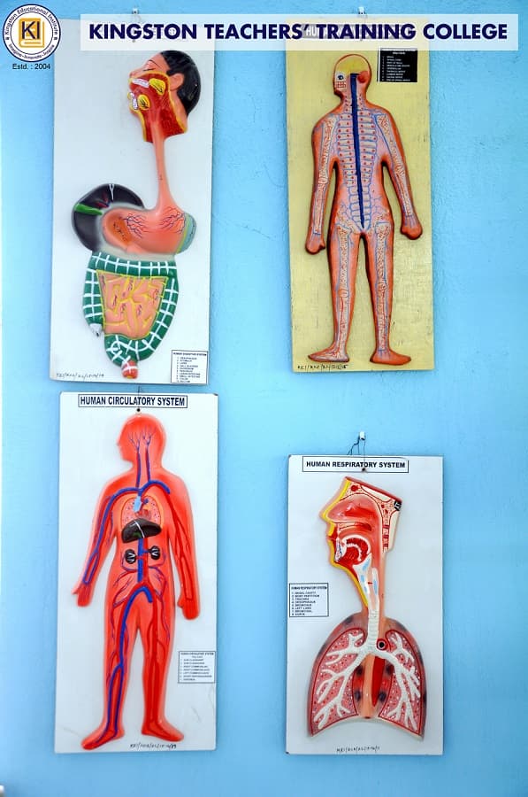 Kingston Educational Institute Kolkata Teacher's Training Lab photo 11