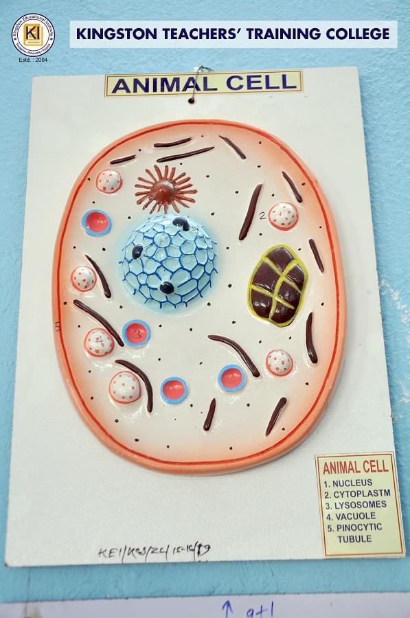 Kingston Educational Institute Kolkata Teacher's Training Lab photo 14