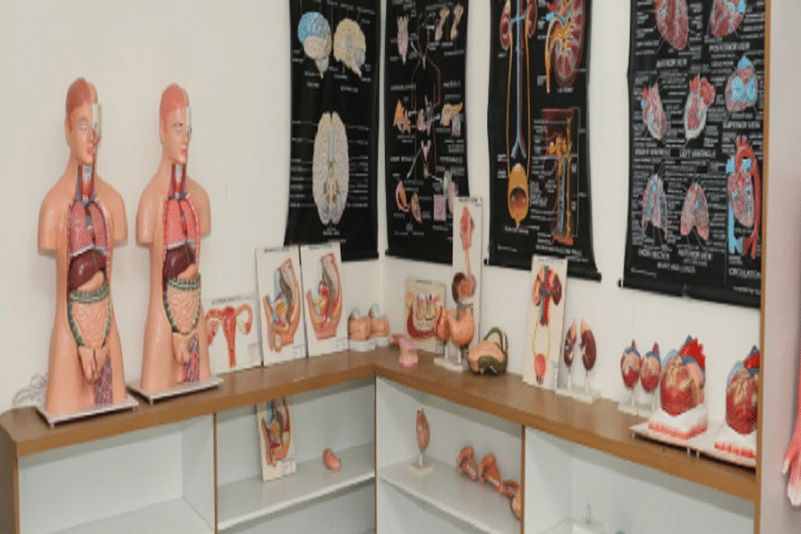 Shree Krishna Institute of Nursing Bhabhar College campus photo 5