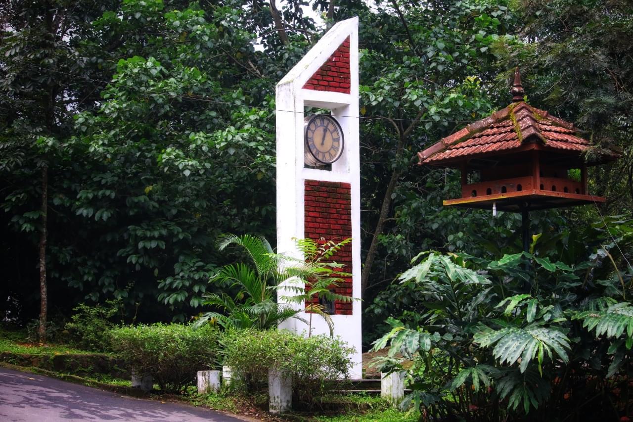 DC School of Management and Technology Vagamon Campus photo 6