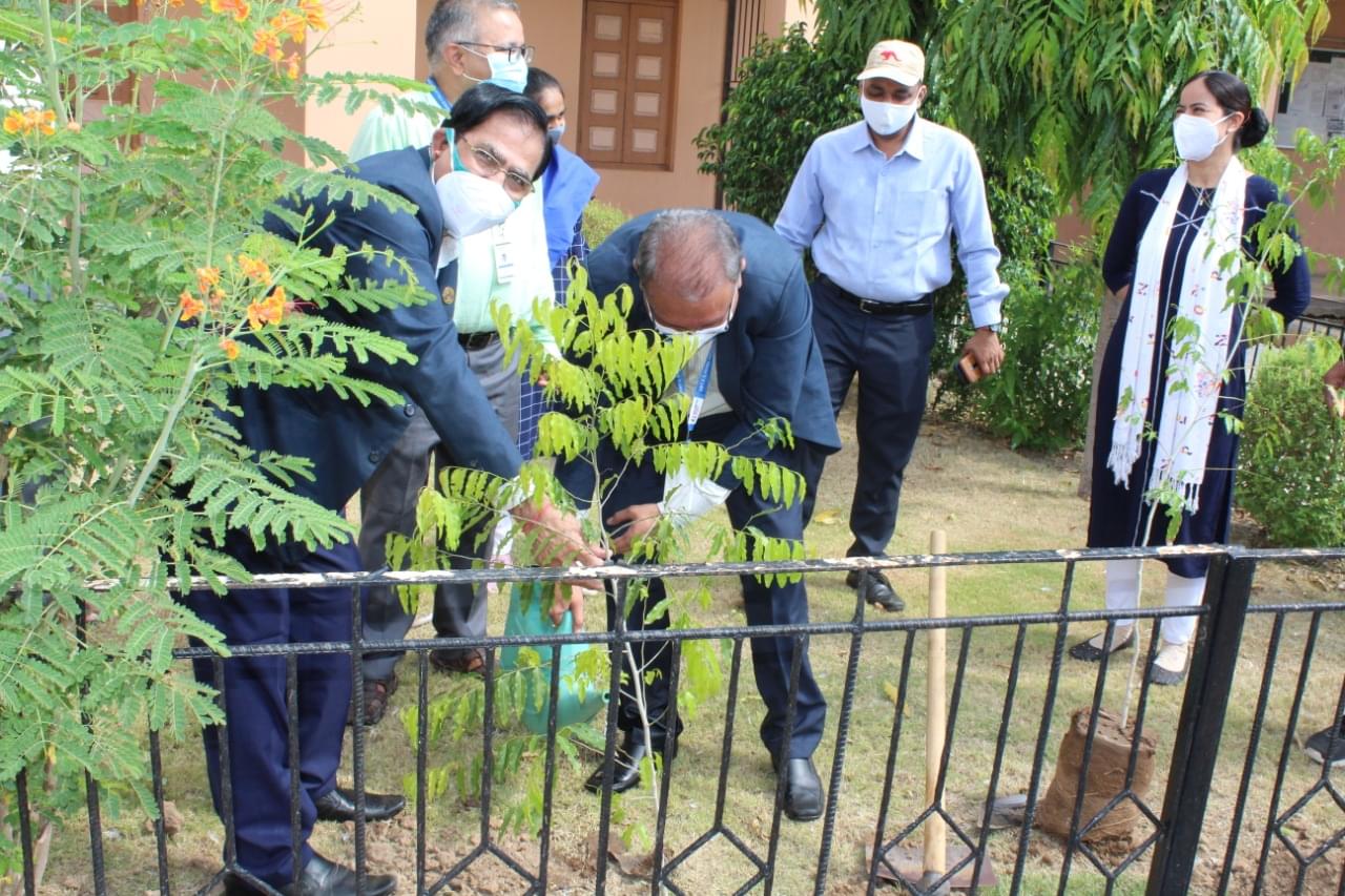 SPU Visnagar World Environment Day photo 3