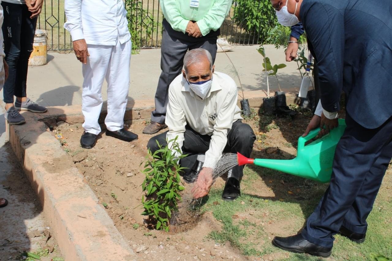 SPU Visnagar World Environment Day photo 4