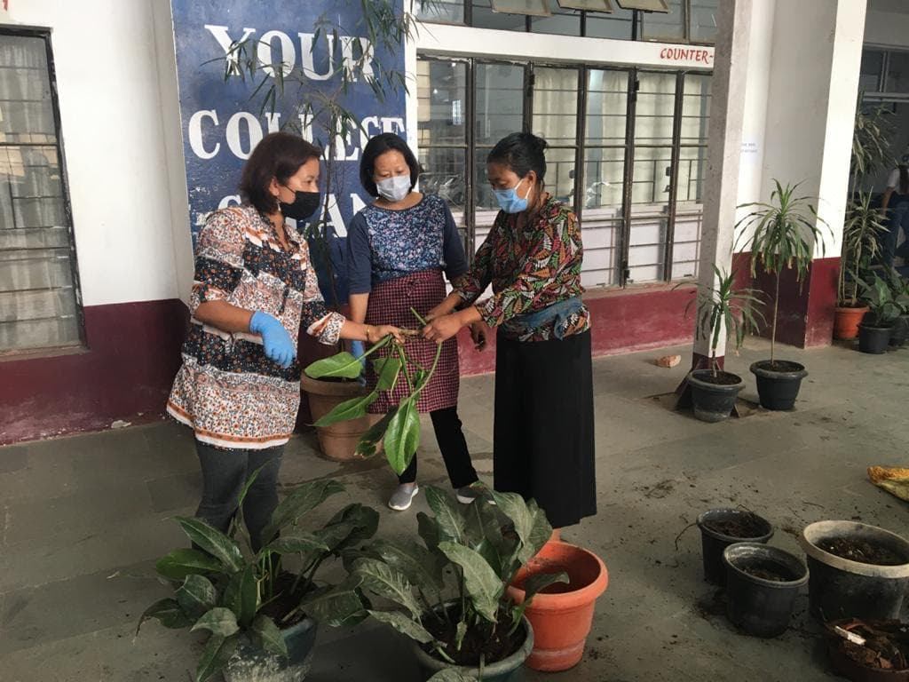 Kohima College Events photo 7