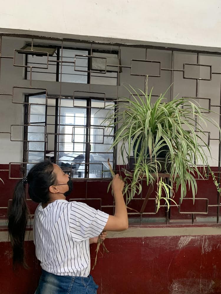 Kohima College Events photo 5