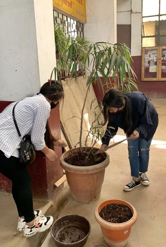 Kohima College Events photo 4