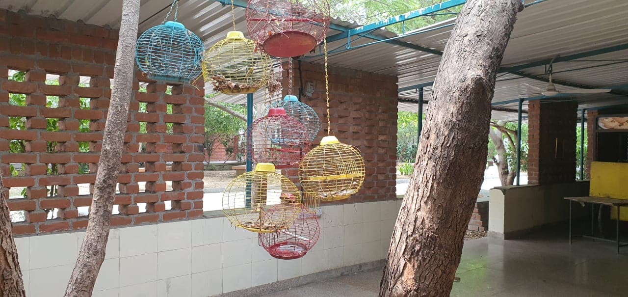 ITM SLS Baroda University College campus photo 15