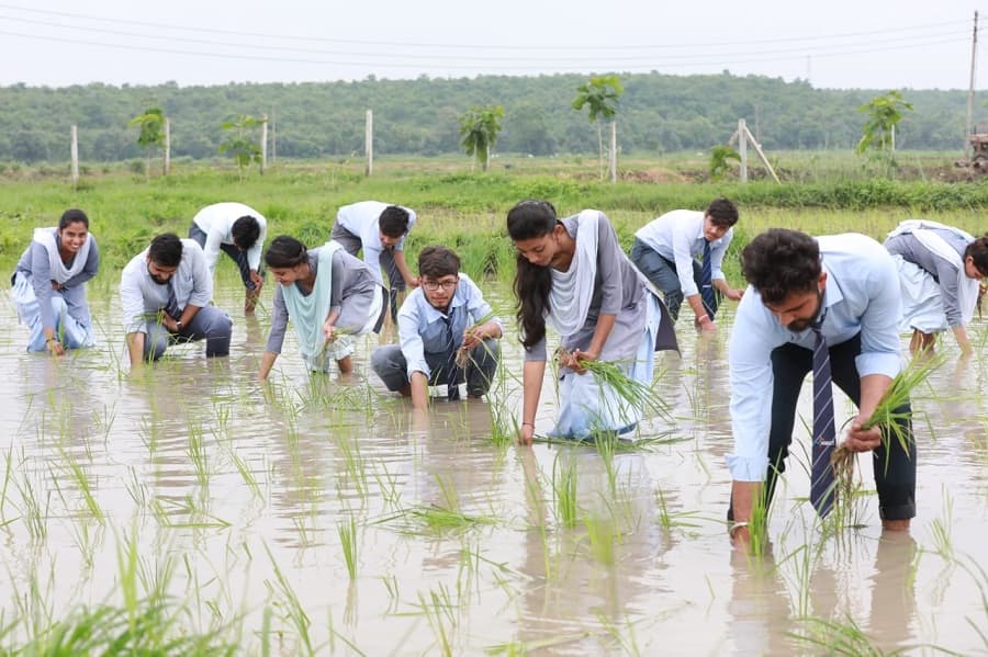 Rabindranath Tagore University Bhopal Infrastructure photo 6