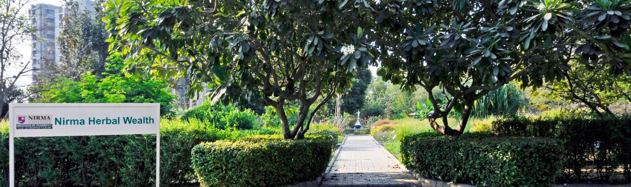 Institute of Technology, Nirma University Ahmedabad Herbal garden photo 1