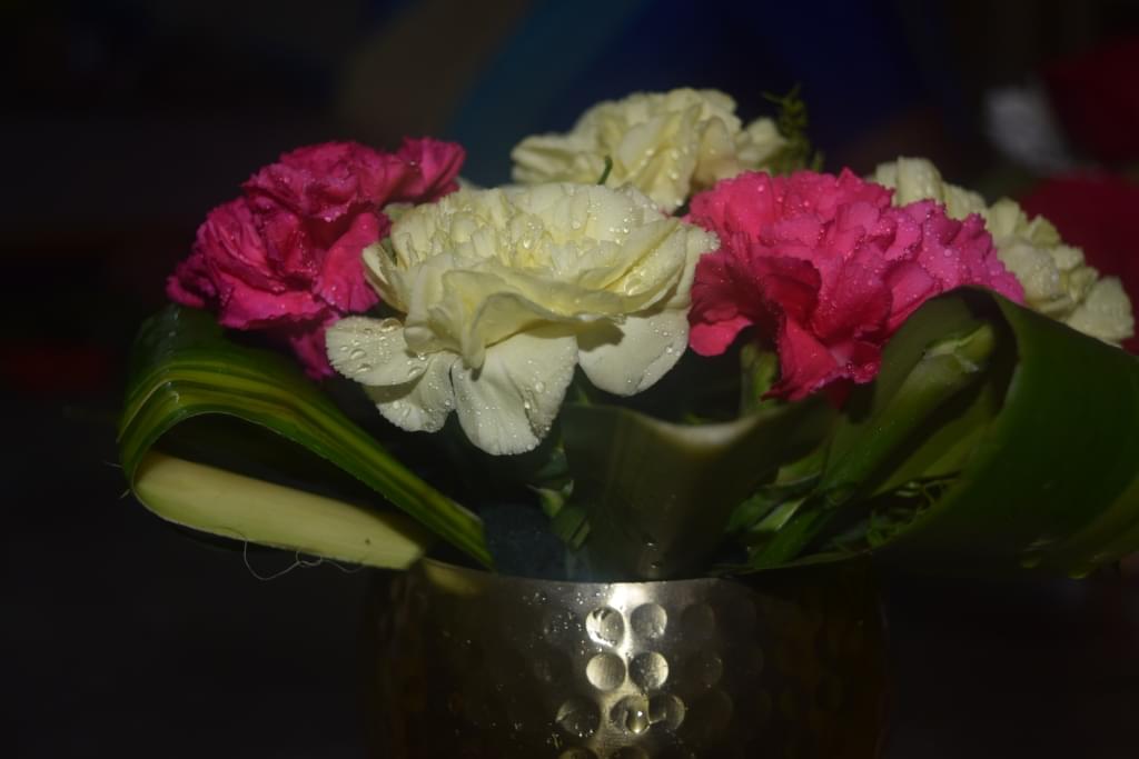 Trinity College of Hotel Management Hyderabad Events photo 38