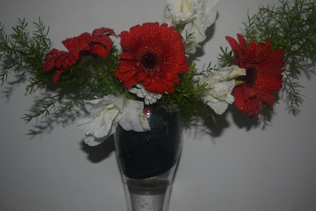 Trinity College of Hotel Management Hyderabad Events photo 40