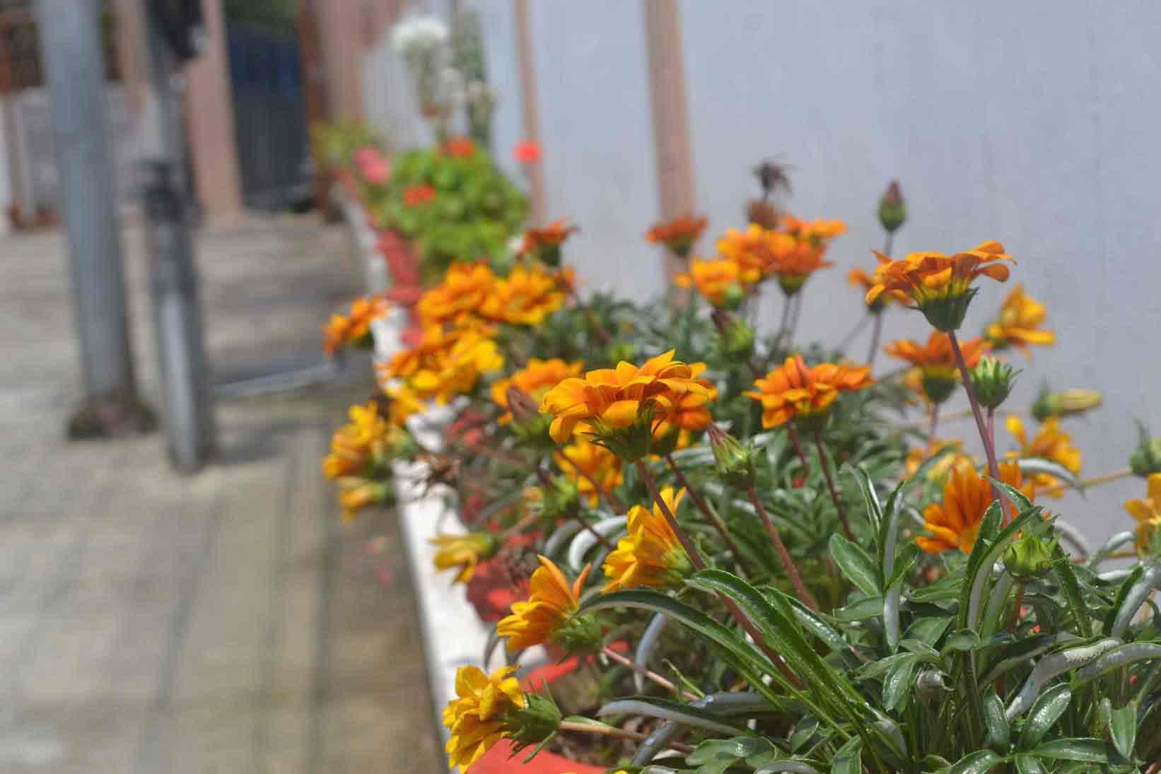 St Mary's College of Teacher Education Shillong College campus photo 3