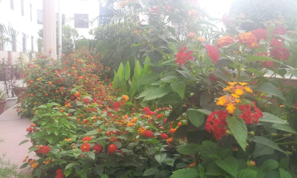 Shri Balwant Institute of Technology Sonepat Campus photo 21