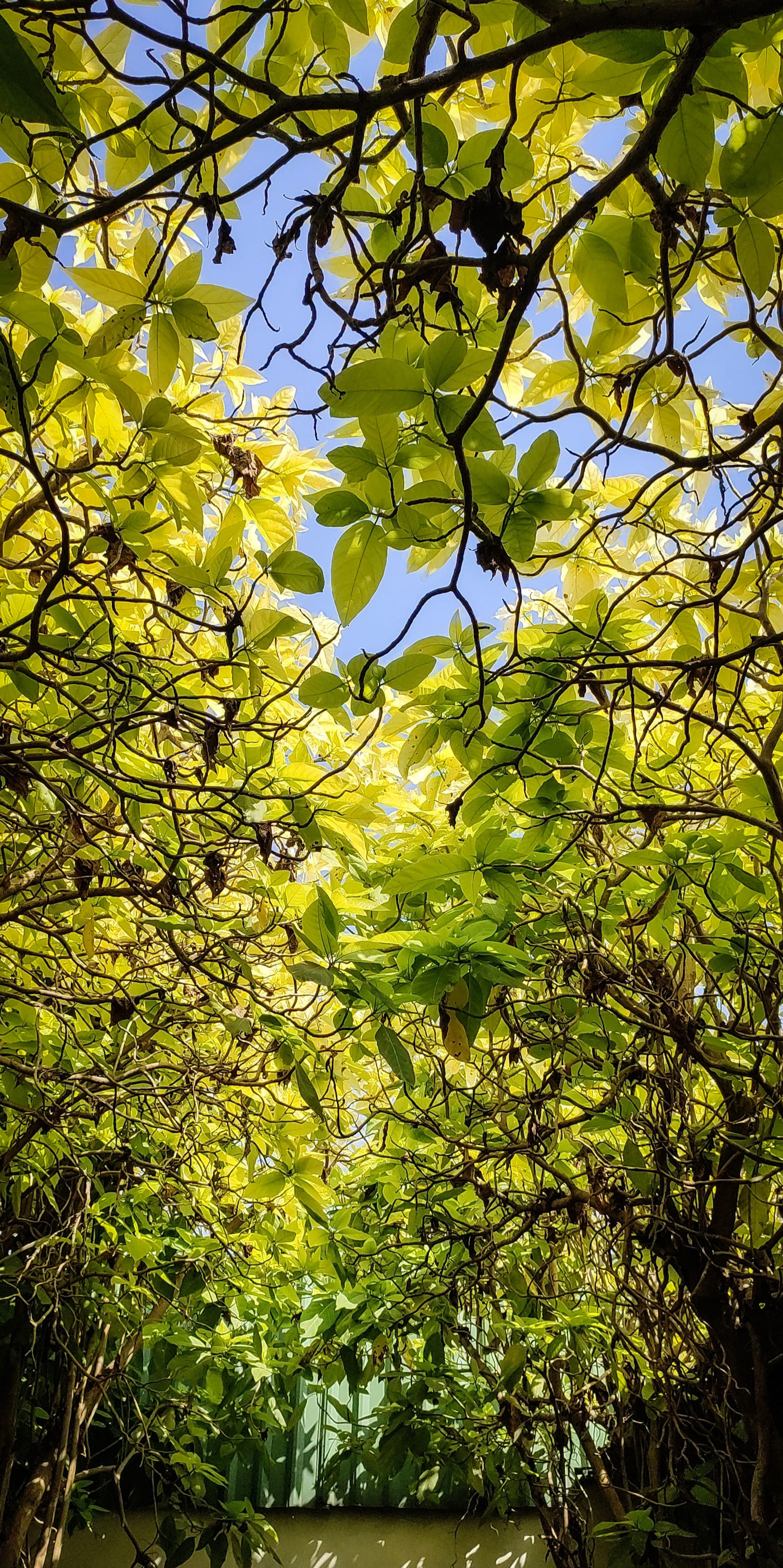 HITAM Campus Infrastructure photo 1