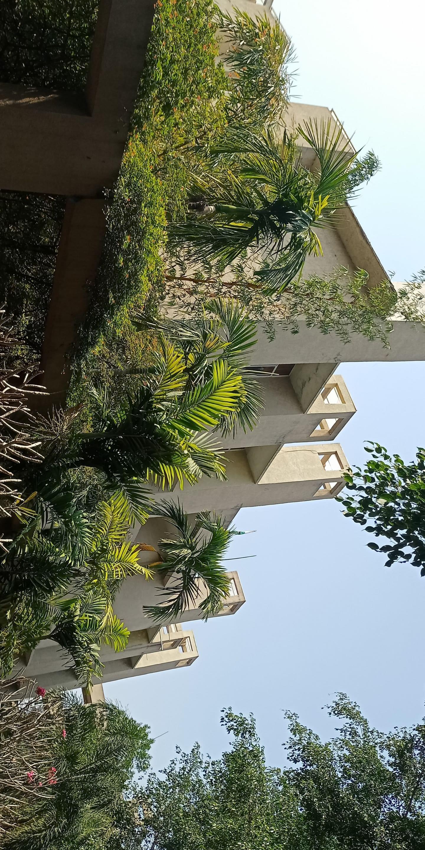 HITAM Campus Infrastructure photo 18