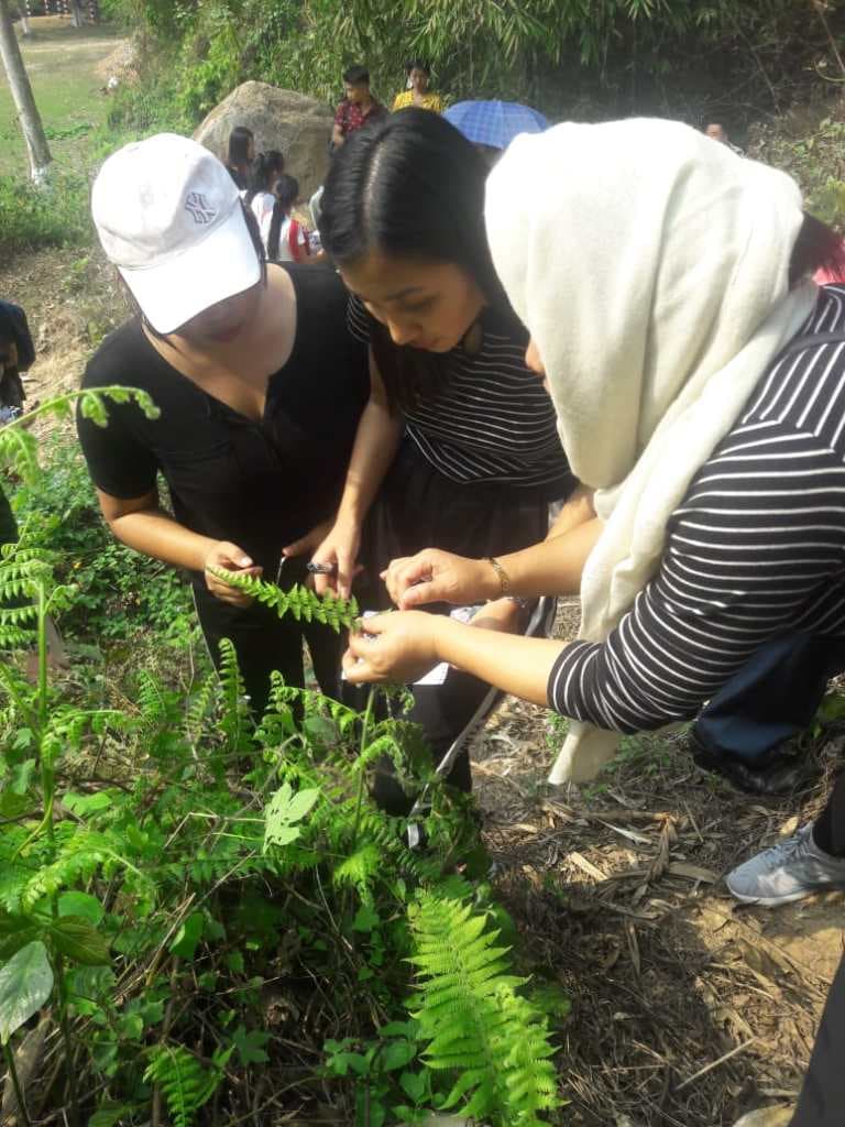 St John College Dimapur Outdoor Learning photo 2
