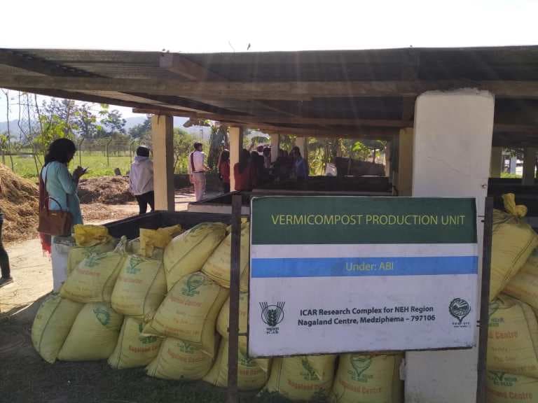 St John College Dimapur Outdoor Learning photo 5