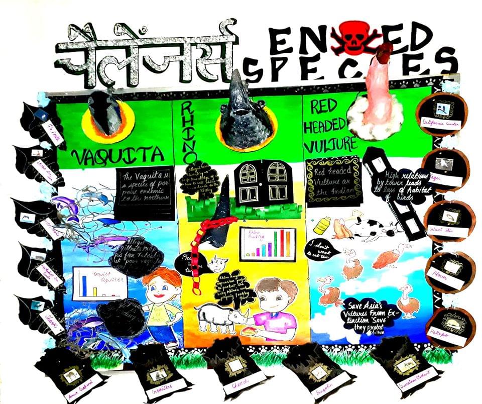 Shikshapeeth College of Management and Technology New Delhi Notice Board photo 1