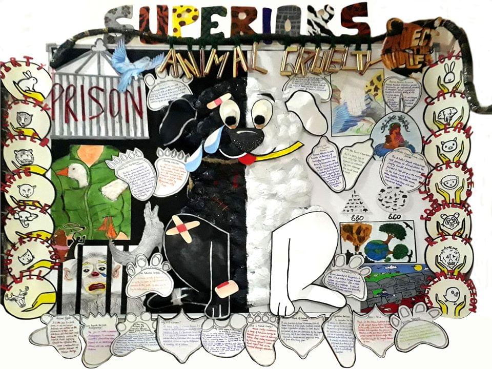 Shikshapeeth College of Management and Technology New Delhi Notice Board photo 3