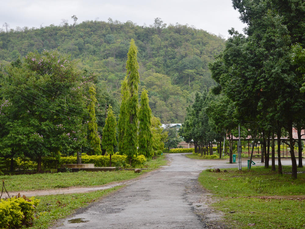 Patkai Christian College Dimapur Infrastructure photo 6