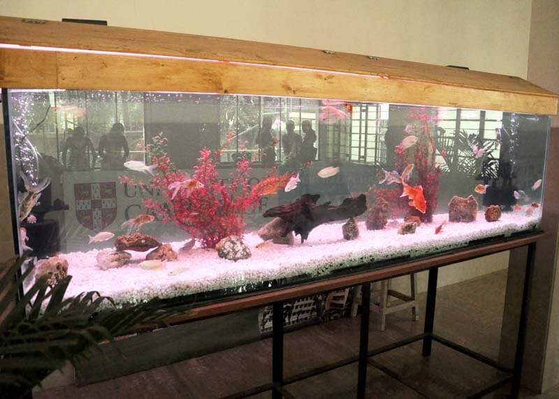 KES' Shroff College Infrastructure photo 8